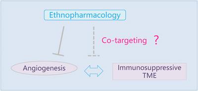 Co-Targeting Tumor Angiogenesis and Immunosuppressive Tumor Microenvironment: A Perspective in <mark class="highlighted">Ethnopharmacology</mark>